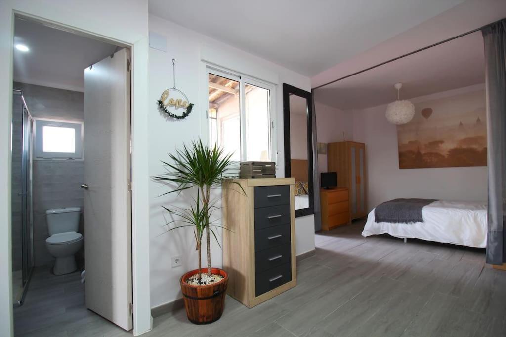 Suite Puerta Osario Con Terraza Севилья Экстерьер фото